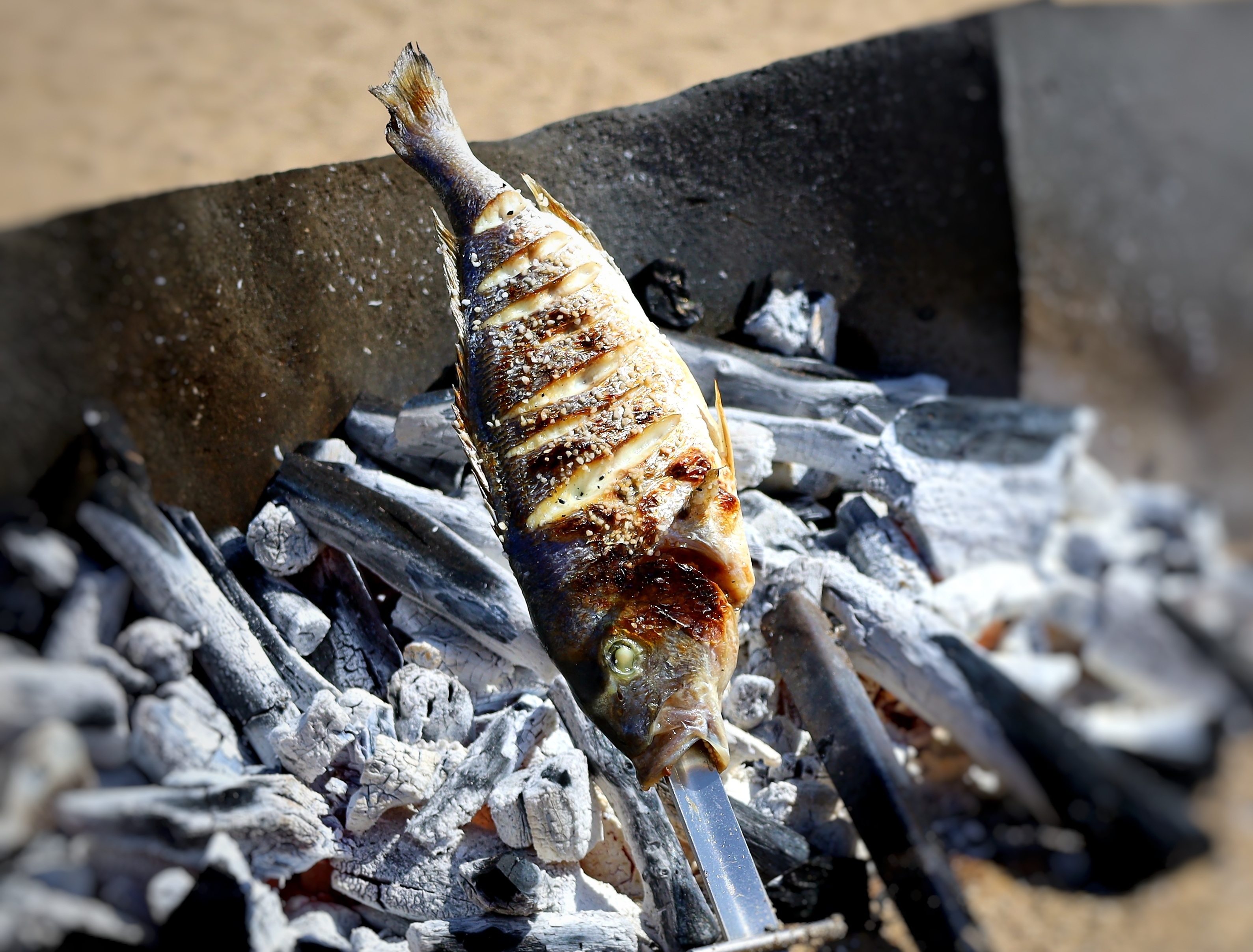 fish-8587918.jpg