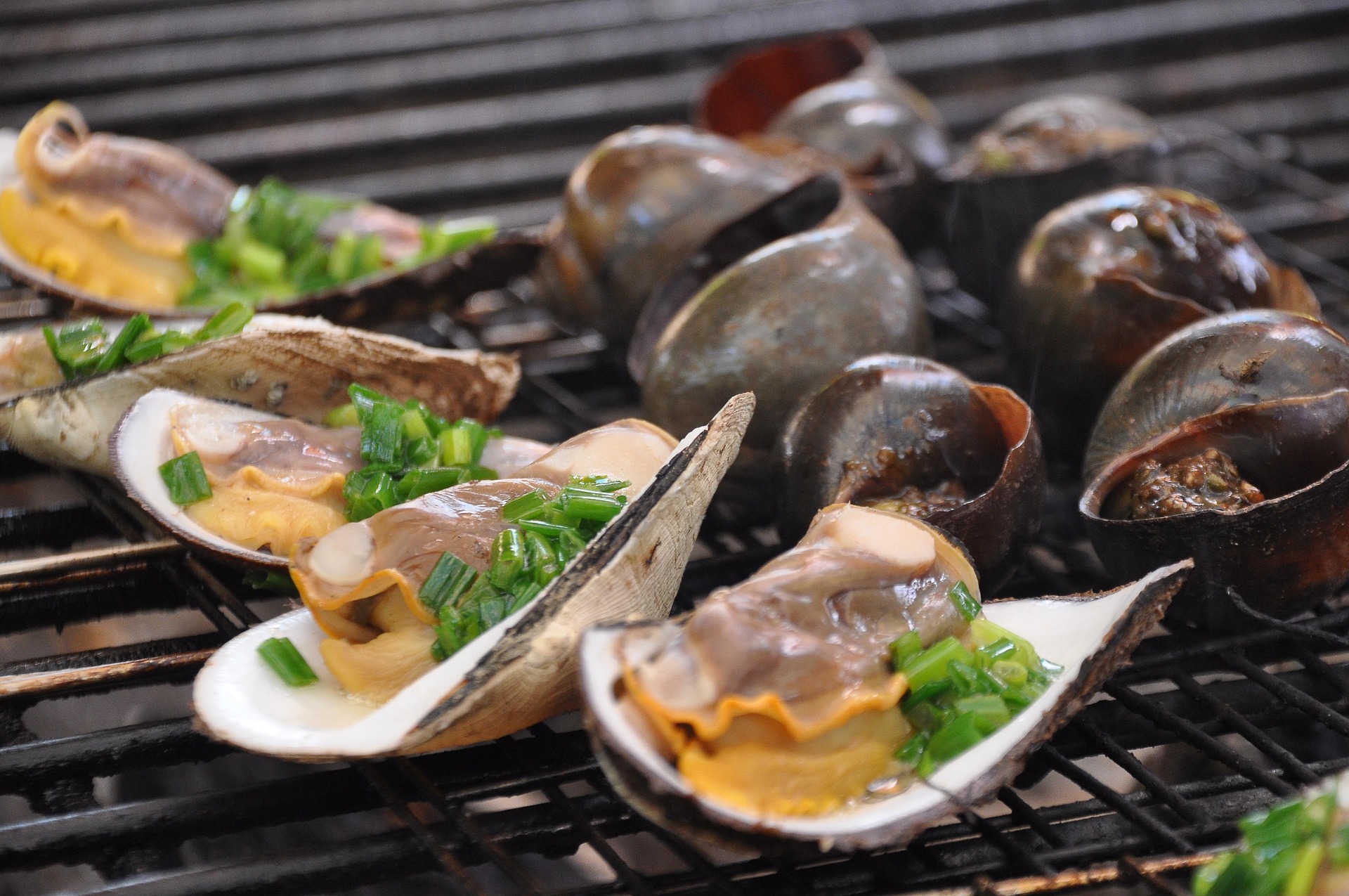 grilled-scallops-6609305_1920.jpg